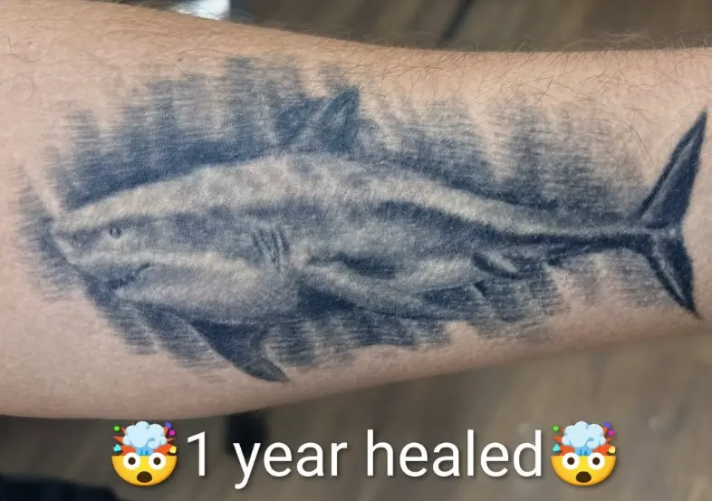 Healed black and gray cloudscape tattoo