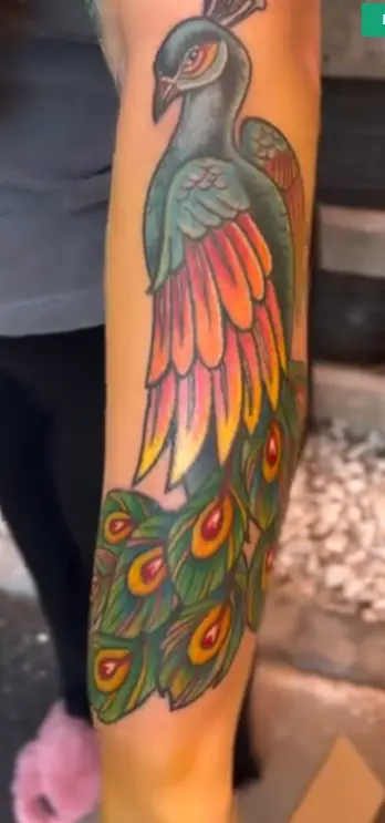 Vibrant color tattoo of a peacock